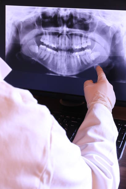 Best Emergency X-Rays and Diagnostics in Hastings, MN